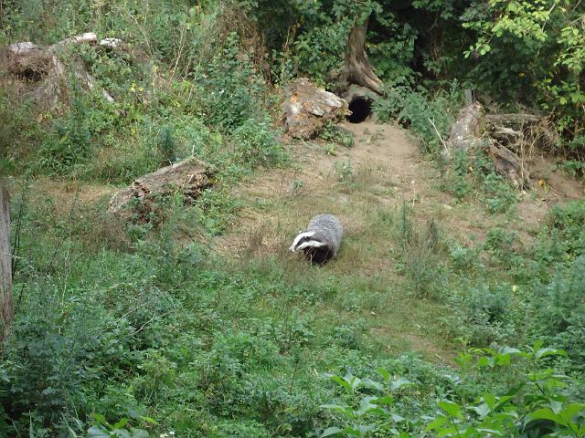 Damenfahrt Otterzentrum 004.jpg